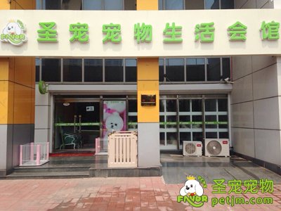 ag真人国际官网宠物店（天津河西区店）开店试营业