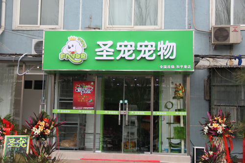 加盟哪家宠物连锁店好