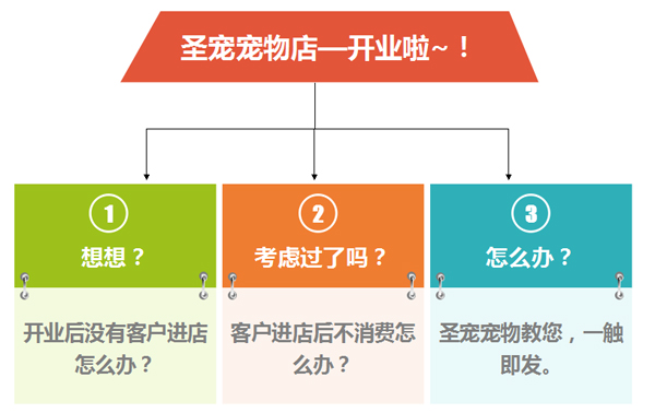 ag真人国际官网后期支持—宠物店排忧解难