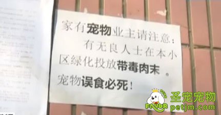 济南艾菲尔花园宠物狗接连死亡 业主怀疑被投毒