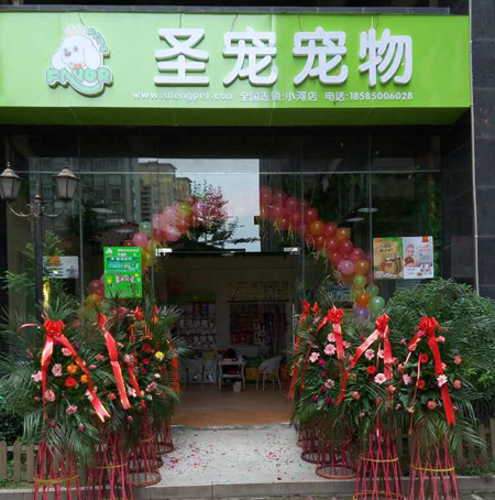 ag真人国际官网宠物碧园花城店