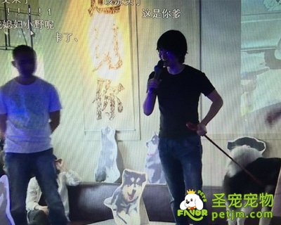 韩寒为宠物狗举办粉丝会 王思聪携爱犬助阵