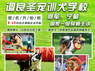 调良ag真人国际官网训犬学校，8月10日正式开课了！