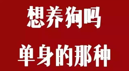 七夕福利，加盟就送“单身狗”，你的“桃花运”来了！