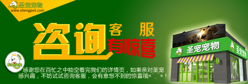 ag真人国际官网培训学校成为中国畜牧业协会及AKC、NGKC协会授权合作单位